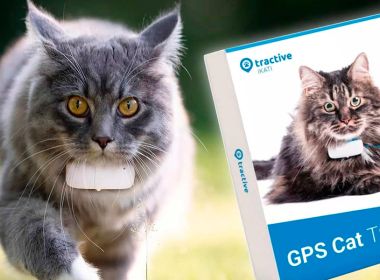 Обзор трекера для кошек Tractive Cat GPS Обзор трекера для кошек Tractive Cat GPS