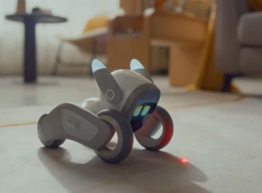 Огляд Loona Smart Petbot Basic