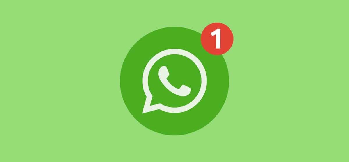WhatsApp анонсирует долгожданное приложение для iPad WhatsApp анонсирует долгожданное приложение для iPad