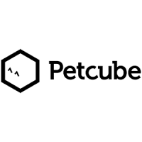 Petcube Petcube