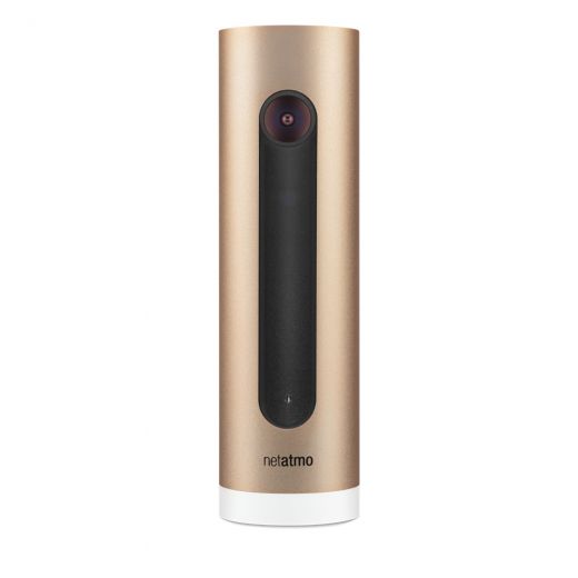 Умная камера Netatmo Welcome