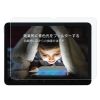 Захисне скло Anank anti-blue для iPad Pro 11” M4 (2024)