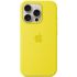 Силиконовый чехол CasePro Silicone Case with MagSafe (Camera Control) Star Fruit для iPhone 16 Pro