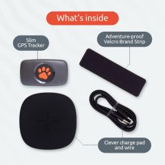 GPS-трекер для собак PitPat Dog GPS Tracker (без подписки)