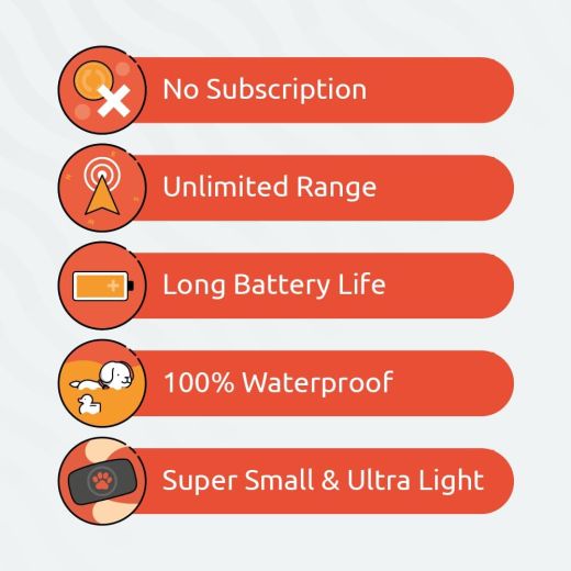 GPS-трекер для собак PitPat Dog GPS Tracker (без подписки)