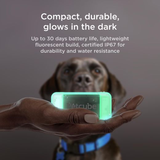 GPS-трекер для собак Petcube GPS Tracker for Dogs