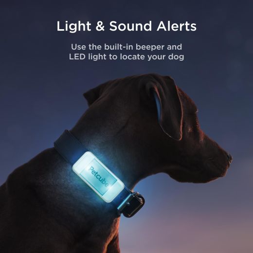 GPS-трекер для собак Petcube GPS Tracker for Dogs