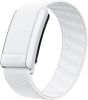 Ремешок Whoop Superknit Band Solid Arctic для WHOOP 4.0