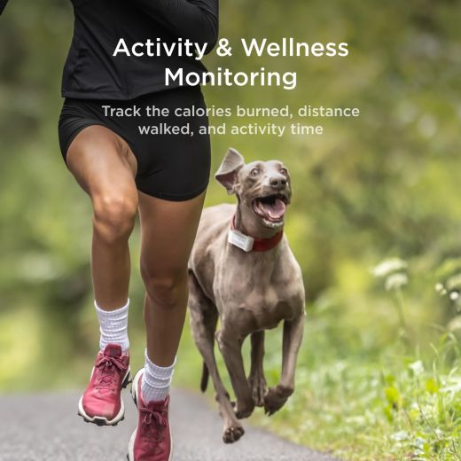GPS-трекер для собак Petcube GPS Tracker for Dogs