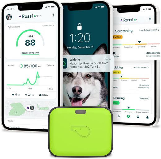 Трекер для собак Whistle Ultimate Dog GPS Tracker Plus Dog Health & Fitness Monitor Green