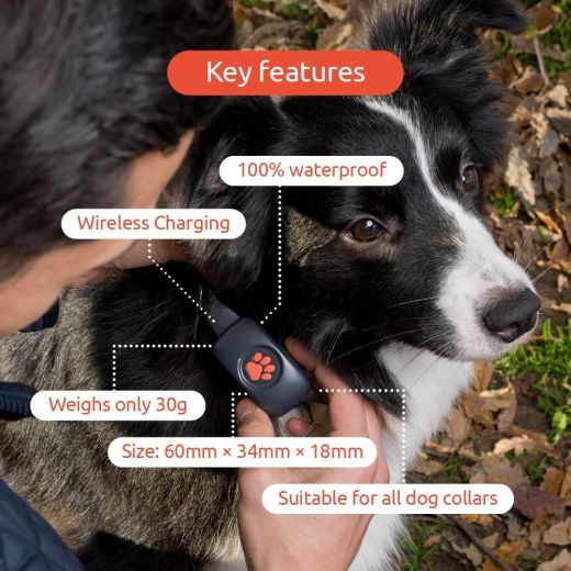 GPS-трекер для собак PitPat Dog GPS Tracker (без підписки)