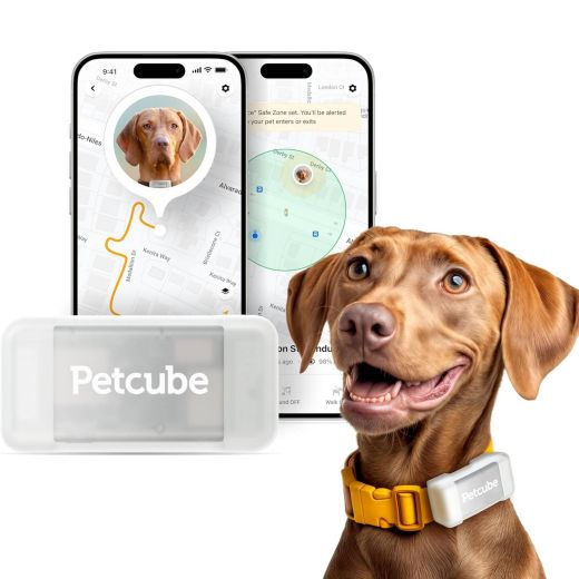 GPS-трекер для собак Petcube GPS Tracker for Dogs