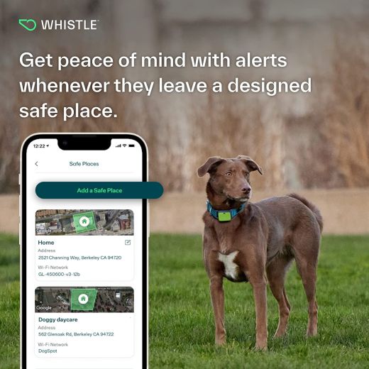 Трекер для собак Whistle Ultimate Dog GPS Tracker Plus Dog Health & Fitness Monitor Green