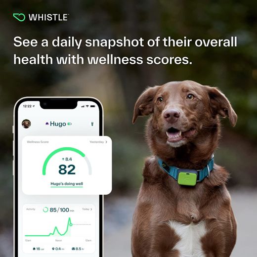 Трекер для собак Whistle Ultimate Dog GPS Tracker Plus Dog Health & Fitness Monitor Green