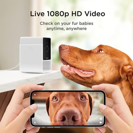 Компактна HD-камера Petcube Cam з нічним баченням та двостороннім аудіозв'язком