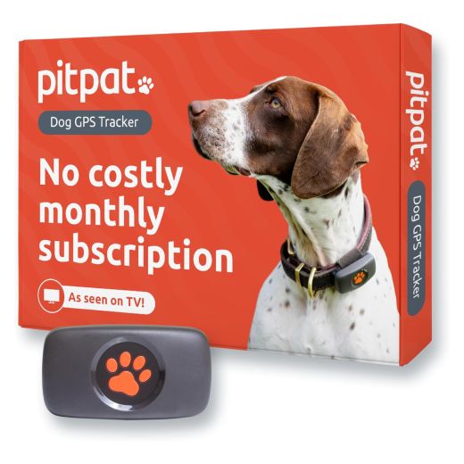 GPS-трекер для собак PitPat Dog GPS Tracker (без подписки)