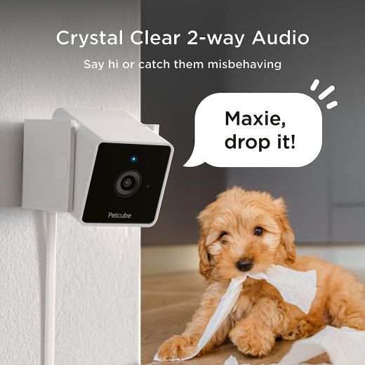 Компактна HD-камера Petcube Cam з нічним баченням та двостороннім аудіозв'язком