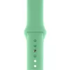 Ремінець CasePro Sport Band Mint для Apple Watch 42mm | 41mm | 40mm | 38mm