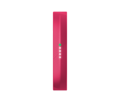 Спортивный браслет Fitbit Flex 2 Magenta