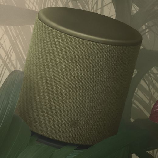 Акустика Bang & Olufsen BeoPlay M5 Infantry Green