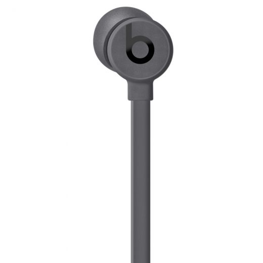 Наушники Beats by Dr. Dre BeatsX Earphones Gray (MNLV2)