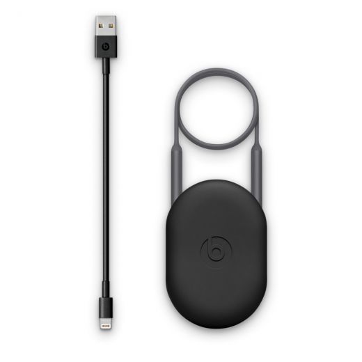 Навушники Beats by Dr. Dre BeatsX Earphones Gray (MNLV2)