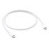 Оригінальний кабель Apple Thunderbolt 3 (USB‑C) Cable (0.8 m) (MQ4H2) Оригінальний кабель Apple Thunderbolt 3 (USB‑C) Cable (0.8 m) (MQ4H2)