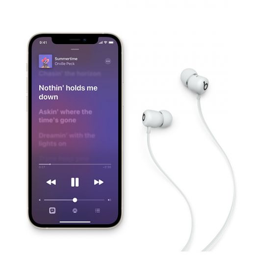 Безпровідні навушники-вкладиші Beats Flex, серия All‑Day Wireless, Smoke Gray (MYME2)