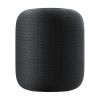 Акустика Apple HomePod Space Gray (MQHW2)