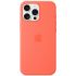 Силіконовий чохол CasePro Silicone Case with MagSafe (Camera Control) Tangerine для iPhone 16 Pro Max