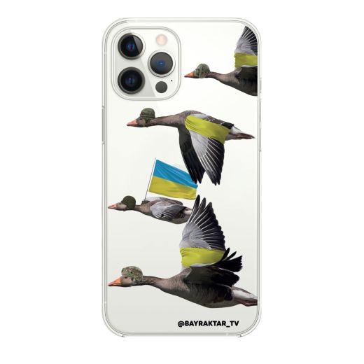 Чехол Oriental Case Boyovi gussi Clear для iPhone 14 Pro