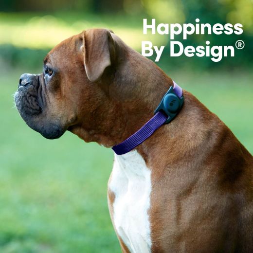 Чохол-ошийник для AirTag Case-Mate Case for Dog Collars Black