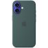Силіконовий чохол CasePro Silicone Case with MagSafe (Camera Control) Lake Green для iPhone 16