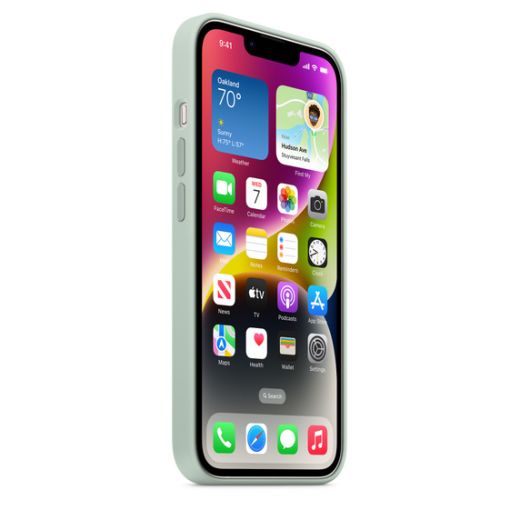 Силиконовый чехол CasePro Silicone Case Succulent для iPhone 14