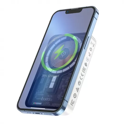 Павербанк (зовнішній акумулятор) Hoco Q10 Transparent