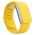 Ремешок Whoop SportFlex Band Flash для WHOOP 4.0 Ремешок Whoop SportFlex Band Flash для WHOOP 4.0