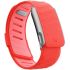 Силиконовый ремешок Whoop SportFlex Band Bounce для WHOOP 5.0 MG Life Силиконовый ремешок Whoop SportFlex Band Bounce для WHOOP 5.0 MG Life