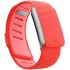 Силіконовий ремінець Whoop SportFlex Band Bounce для WHOOP 5.0 Силіконовий ремінець Whoop SportFlex Band Bounce для WHOOP 5.0