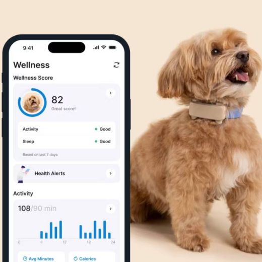 GPS-трекер для собак Tractive GPS Tracker 6  for Dogs Brown